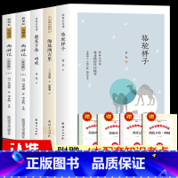 全5册 七年级上下册推荐阅读书[赠考点] [正版]赠考点 全套5册 骆驼祥子和海底两万里原著老舍 朝花夕拾呐喊鲁迅 西游