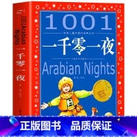 一千零一夜 [正版]海豚童书 小王子书 注音版中文儿童绘本经典世界名着1-3年级小学生读物一年级二年级课外阅读带拼音的课