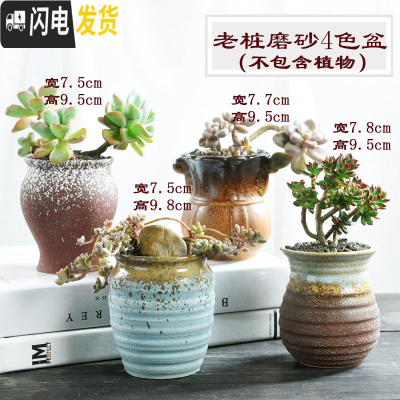 三维工匠多肉花盆大号老桩创意个性大口径粗陶透气陶瓷肉肉植物盆 磨砂老庄4个 大花盆容器