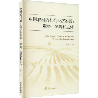 中国农村的社会经济实践:策略、障碍和主体