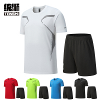 统狮 运动套装 R6 套