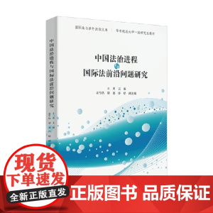 中国法治进程与国际法前沿问题研究 王勇 等 编著 法律
