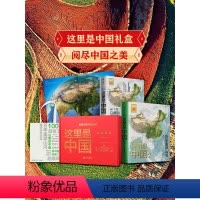 [正版]这里是中国礼盒1+2套装(共2册) 阅尽中国之美 星球研究所著 荣获2019年度中国好书 第十五届文津图书奖