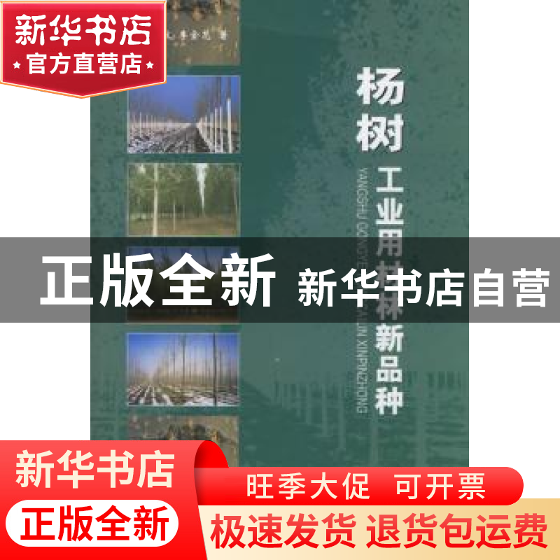 正版 杨树工业用材林新品种 张绮文,李金花 中国林业出版社 97875