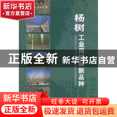 正版 杨树工业用材林新品种 张绮文,李金花 中国林业出版社 97875