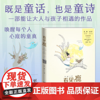 看见鹿 2022广东暑假读一本好书精装 木也 三部诗歌童话作品 旅行的开始 月亮的山谷 迷路的星星 儿童文学绘本故事书