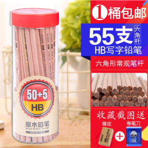 宝克(baoke)桶装原木铅笔六角HB笔PL1680学生2B铅笔小学生三角形HB铅笔幼儿园写字笔儿童铅笔文具绘画套装