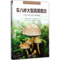 音像车八岭大型真菌图志李泰辉 等 主编