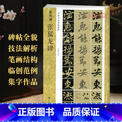 [正版]学海轩 张猛龙碑 新书谱 中国书法基础教程笔画部首结构讲解范字临写要诀楷书毛笔书法练字帖简体旁注图书书籍