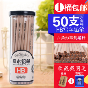 宝克(baoke)桶装原木铅笔六角HB笔PL1680学生2B铅笔小学生三角形HB铅笔幼儿园写字笔儿童铅笔文具绘画套装
