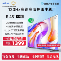 海信Vidda电视 R43 4K版43英寸 超高清超薄电视2+32G 120赫兹 全面智慧屏智能液晶电视43V1ND-R