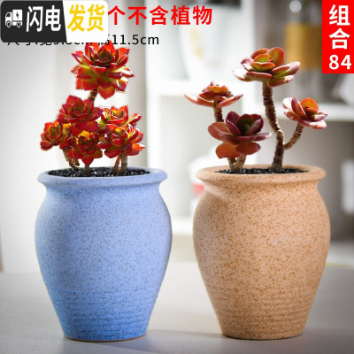 三维工匠老庄多肉花盆悬崖桩肉肉植物小盆器黑法师粗陶大口径创意个性 如图款式10 中等花盆容器