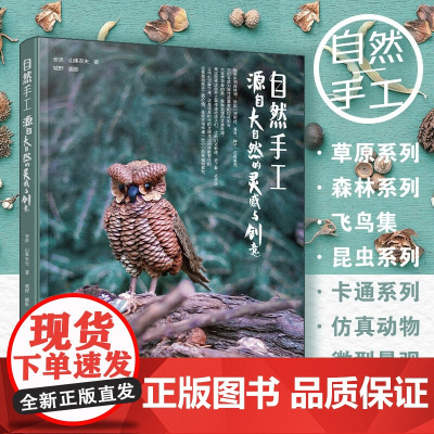 自然手工 源自大自然的灵感与创意 安详等 著 娱乐休闲