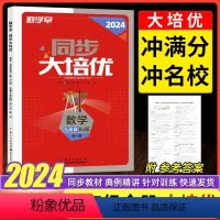 [勤学早大培优2024]9年级全一册数学 九年级/初中三年级 [正版]2024版勤学早大培优九年级全一册数学人教版RJ