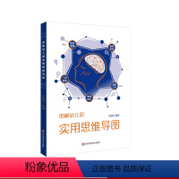 [正版]图解幼儿园实用思维导图 幼教教研员李继文编著 可视化思维工具 幼儿教师成长 实践案例 一日活动 班级工作