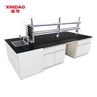 鑫导 实验台 SYT223-钢木中央台定制 米