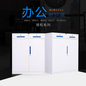 豫亿腾 套色对开门矮柜,档案柜,器械柜,钢制文件柜,更衣柜,办公抽屉铁皮柜,资料柜,带锁