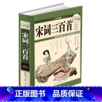[正版] 宋词三百首(全彩白金版)(精)/国学典藏 古典解祥原文注释词意赏析 中国古代诗词唐诗宋词元曲图文珍藏本畅