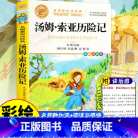 汤姆·索亚历险记 [正版]汤姆索亚历险记 彩图 经典名著青少年小学生儿童二三四五六年级上下册必读课外阅读物故事书籍快乐读