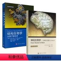[正版]全2册神经生物学:从神经元到脑(原书第5版)+结构生物学:从原子到生命生物学医学专业教学参考神经医学神经系统科