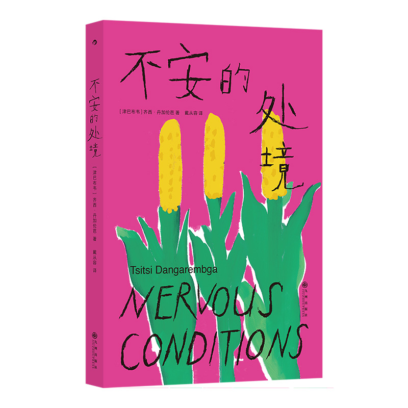 正版新书]不安的处境[津巴布韦] 齐西·丹加伦芭 后浪9787522532