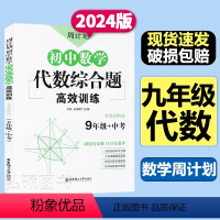 数学 [正版]周计划初中数学代数综合题高效训练9年级解题思路方法技巧初中几何专项训练中考真题讲解二次函数反比例图像综合强