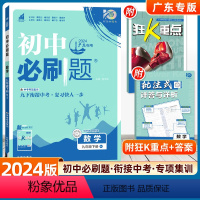 数学--人教版[广东专用] [正版]2024新版初中必刷题九年级下册数学人教版RJ 北师沪科华师湘教初三九下中考复习资料