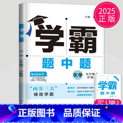 化学 九年级下 沪教版 九年级/初中三年级 [正版]2025学霸题中题九年级下册上册数学物理英语化学苏科版译林版苏教人教