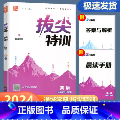 英语 外研版 九年级下 [正版]2024新版通城学典拔尖特训九年级下册英语外研版 初中生初三9年级下册同步练习册课时特训