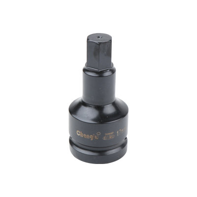 长鹿工具 19mm系列公制气动内六角套筒 17mm 1个