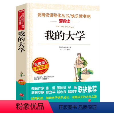 [六年级选读]我的大学 [正版]鲁滨逊漂流记原著完整版六年级下册必读的课外阅读书藉单本青少年版天地出版社人教版鲁滨孙汉鲁