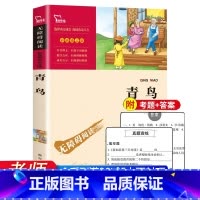 青鸟 [正版]昆虫记原著完整版法布尔全集小学生三四年级下册必读的课外书老师名著美绘版人民儿童文学教育阅读书籍山东美术出版