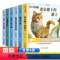 经典文学6册+纽伯瑞国际大奖小说12册 [正版]全6册百年经典冰心奖儿童文学全集 魔法学校小学生三四五六年级读的课外书阅