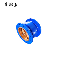 萃珑辰 HC41X消声逆止阀 DN250 个