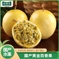 [苏鲜生]精品黄金百香果 百香果西番莲鸡蛋果 净重2.5斤 中果 单果45-60g 新鲜采摘