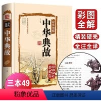 [正版]中华典故 全彩珍藏版 五千年文化智慧结晶 浓缩的历史 语言的精华 国学典藏中国文化概论故事历史学习的读本FE