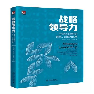 正版新书]战略领导力:中国企业运作的理念、过程与效果张志学;
