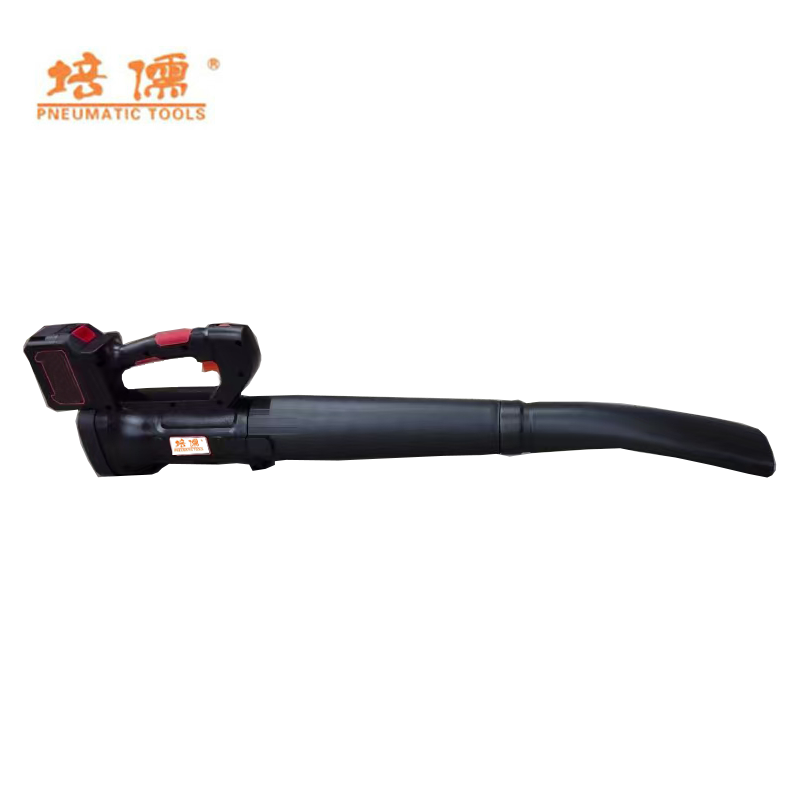 培儒锂电吹风机PR-CHF(套)