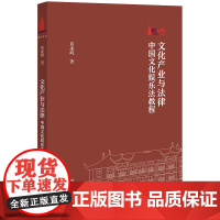 正版 文化产业与法律 中国文化娱乐法教程 黄虚峰 著 法律出版社