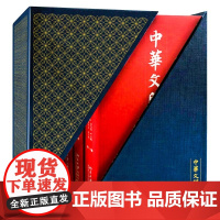 中华文明史 1—4 精装 入选“剑桥中国文库” 世界了解中国的桥梁 袁行霈 著 北京大学出版社 正版书籍 文化史