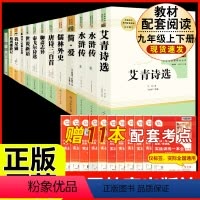 [人教版 13册]九年级上下册名著(含围城.人文 ) [正版]水浒传 原著完整版上下2册人民教育出版社九年级必读人教版青