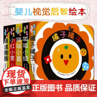 婴儿视觉启智绘本 全5册 0-2岁 周龙梅 著 幼儿启蒙