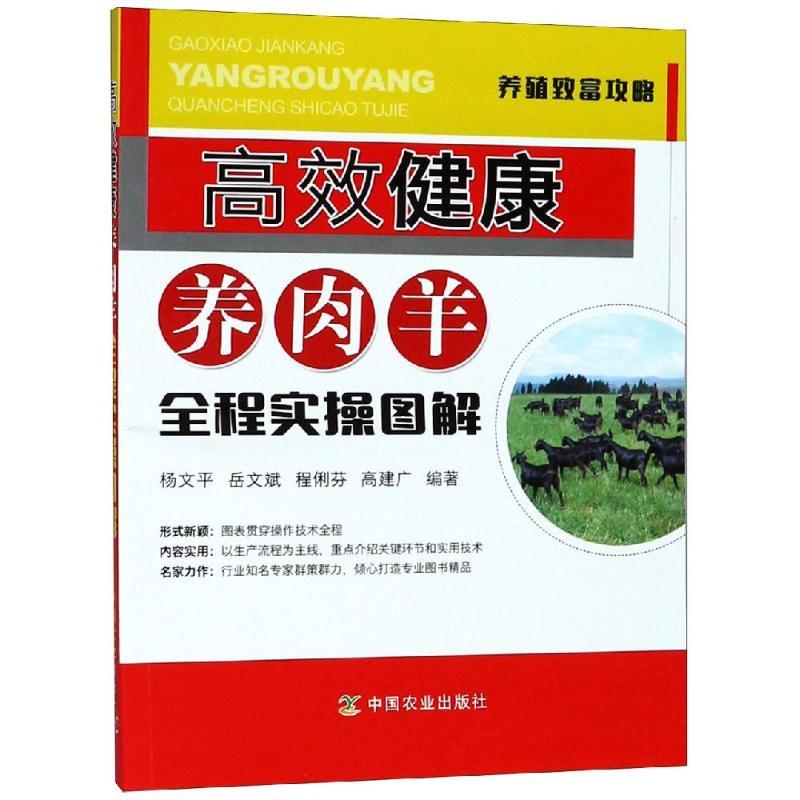 正版新书]高效健康养肉羊全程实操图解杨文平9787109235953