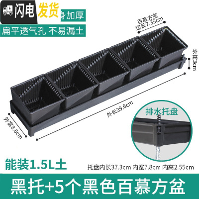 三维工匠美莳控根多肉花盆塑料套装组合创意透气肉肉控型盆器 [新款百慕盆]+[窄排水黑托]+5个黑盆(7.35cm花盆容器