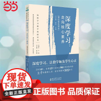 正版书籍 深度学习教学改进丛书 深度学习:走向核心素养 理论普及读本 教育科学出版社 深度学习,让教学触及学生心灵!