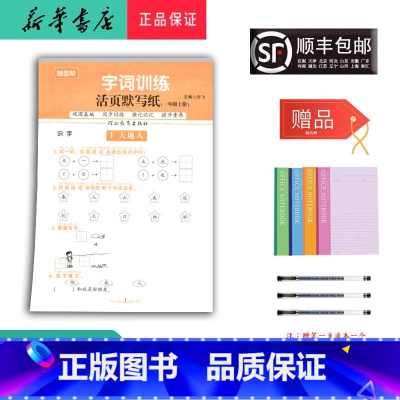语文 一年级上 [正版] 2024秋 随堂帮 字词训练 活页默写纸 一年级上册 人教版