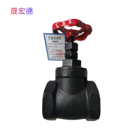 晟宏德 铸铁闸阀 丝扣 DN32 个