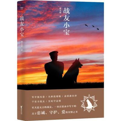 正版新书]战友小宝漠北狼9787533953676