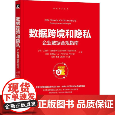 机工 数据跨境和隐私:企业数据合规指南 [荷]兰伯特·霍根豪特(Lambert Hogenhout)[美] 阿曼达·王(