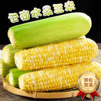 [西沛生鲜]新鲜水果玉米 净重3斤 单根150g+ 现摘带皮甜玉米农家金银水果玉米棒子鲜嫩黄玉米